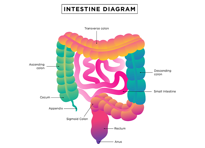 Colon Cancer Treatment in Pune | Dr. Sumit Shah